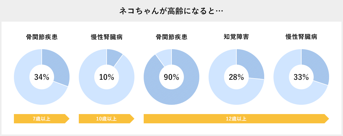ネコちゃんが高齢になると