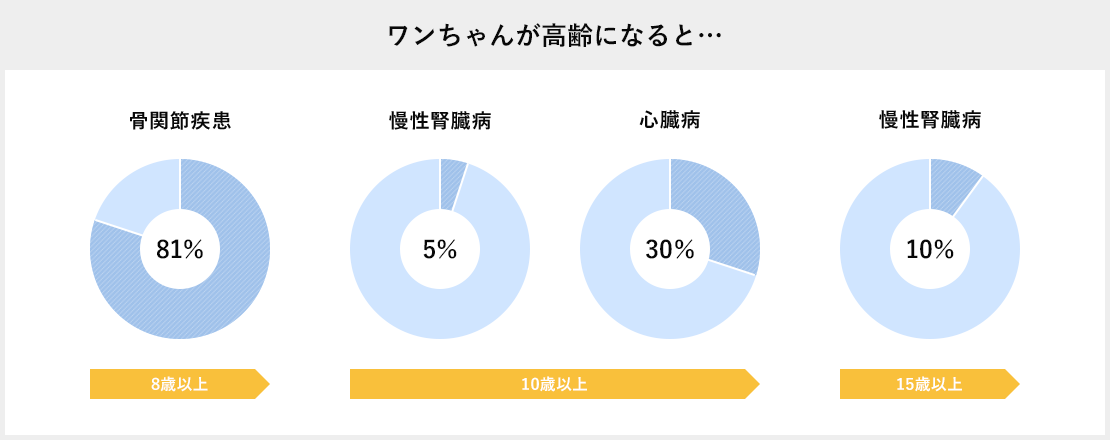 ワンちゃんが高齢になると